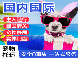 重庆机场邮寄国际宠物托运 【国
